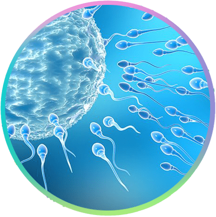 Dr Swadha - Best Infertility Specialist in Nagpur